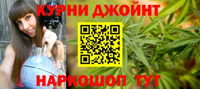 крисы Обь