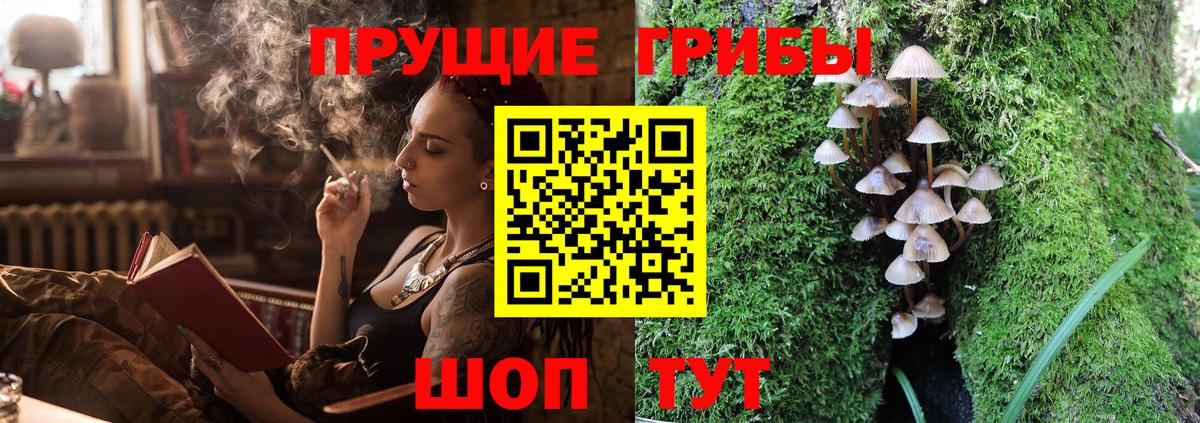 Галлюциногенные грибы GOLDEN TEACHER Северск